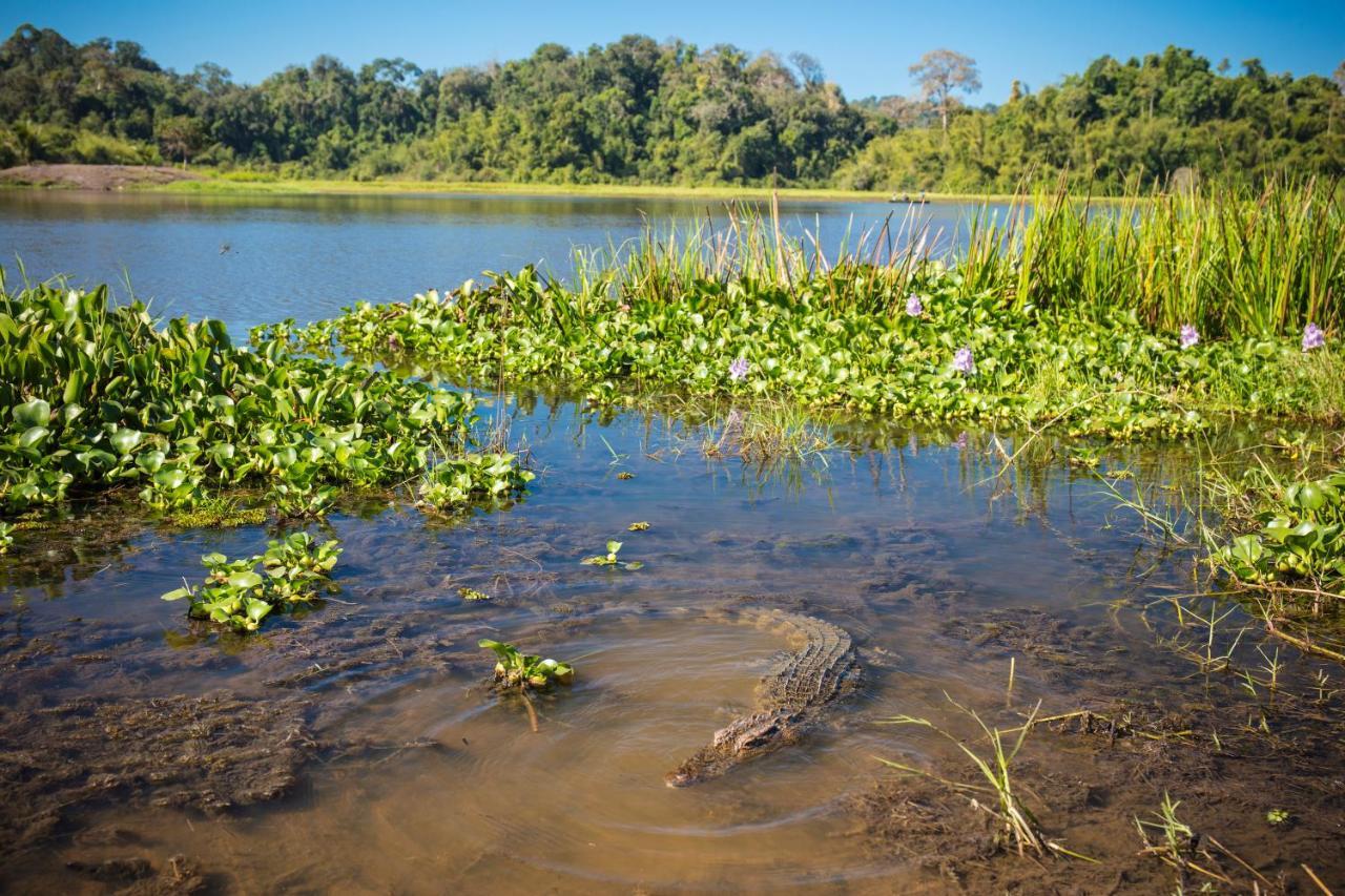 Cat Tien Jungle Lodge Экстерьер фото